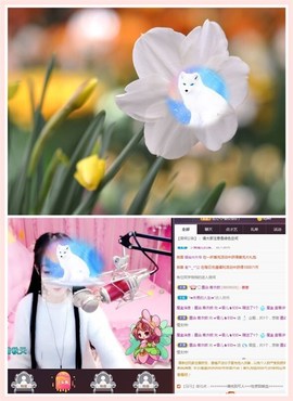 ☞雪儿♞930☜主播照片