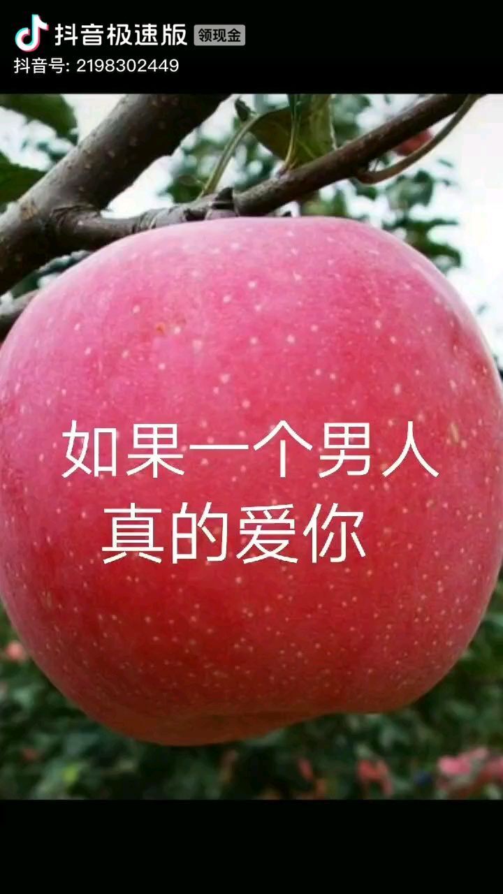 ?開朗的主播照片