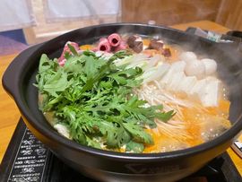 ♬♪百音百顺♪♬主播照片