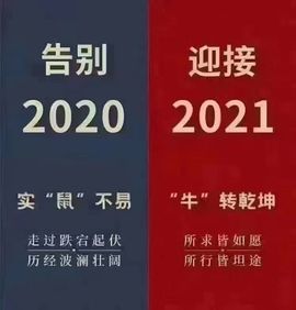 粤S車易达二手车小杰主播照片