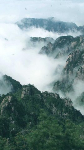 დ释怀დ主播照片