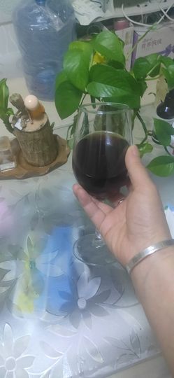 东北妞酒儿主播照片