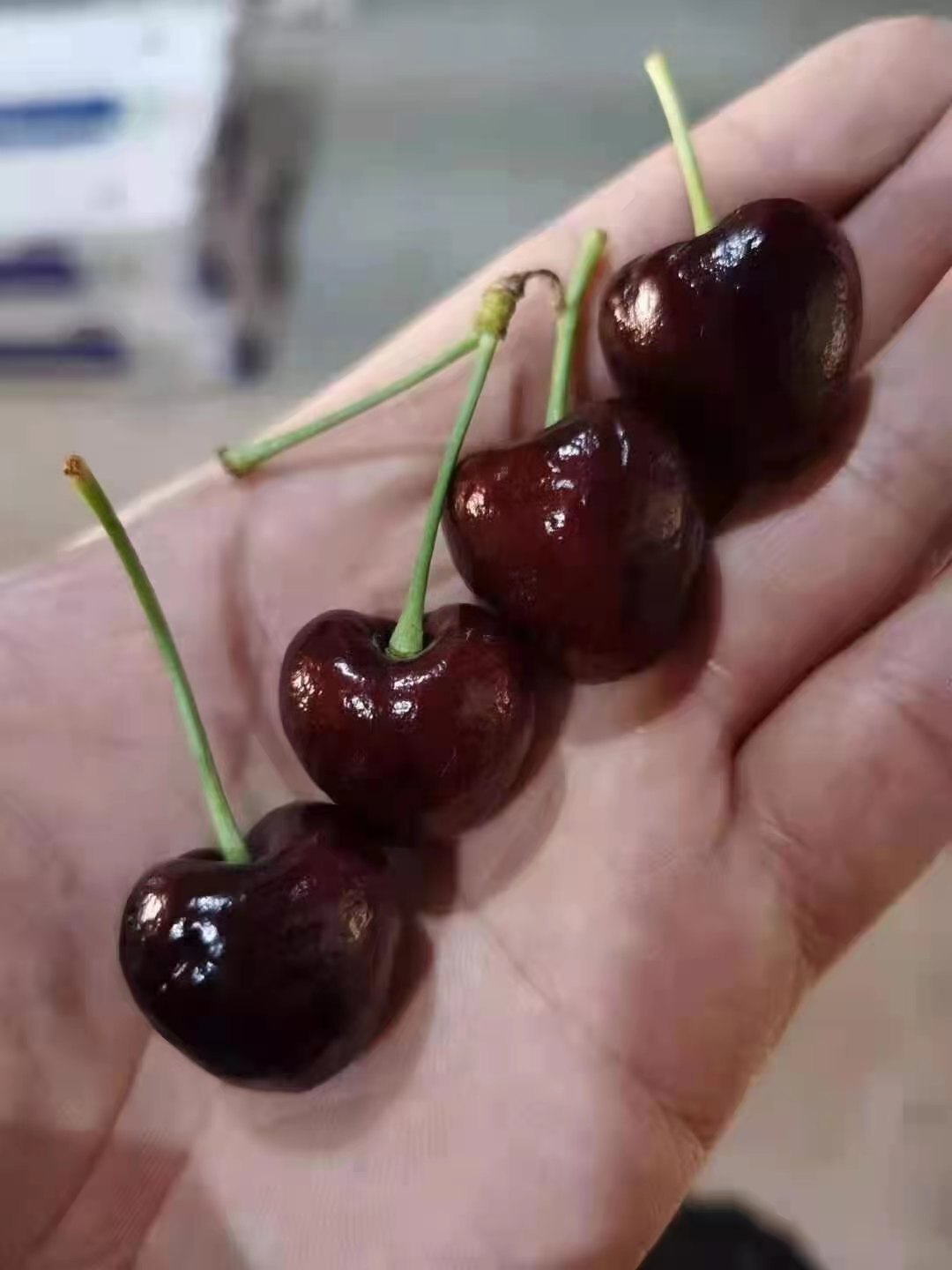 林宠儿❤主播图片