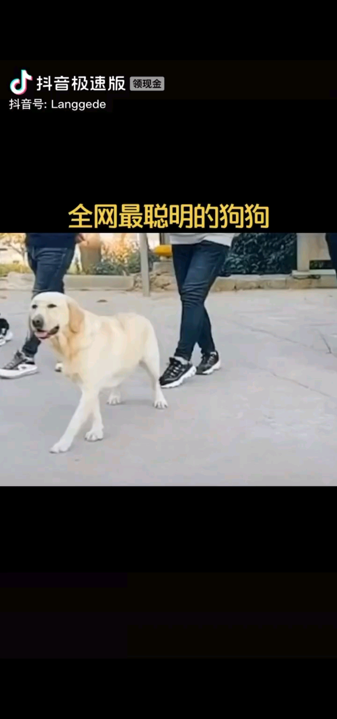 厉害了我的哥，你会吗
