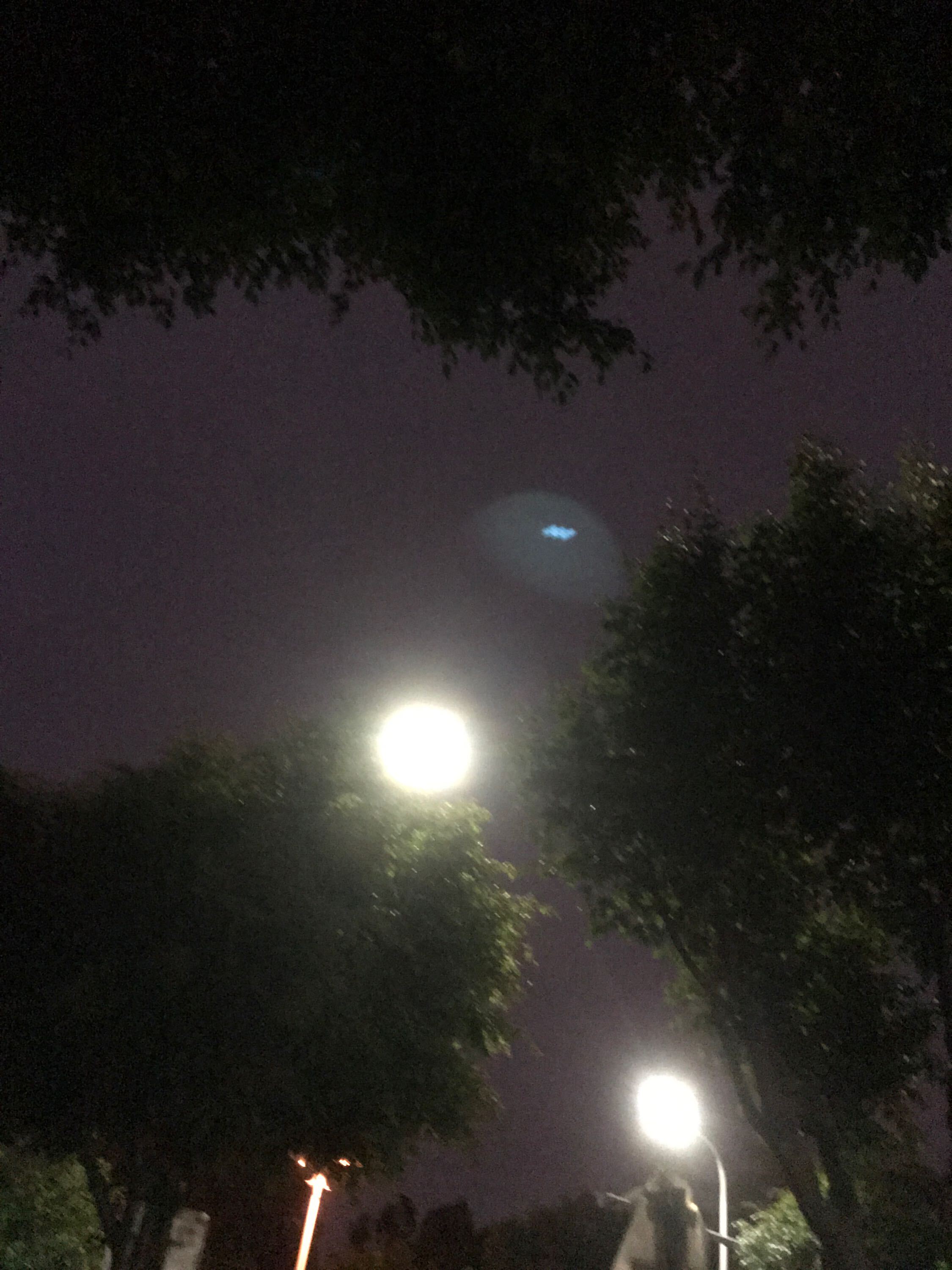 挚爱一生～的图片