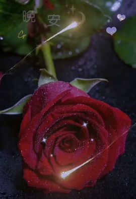 💔遗失的心跳。💕主播照片