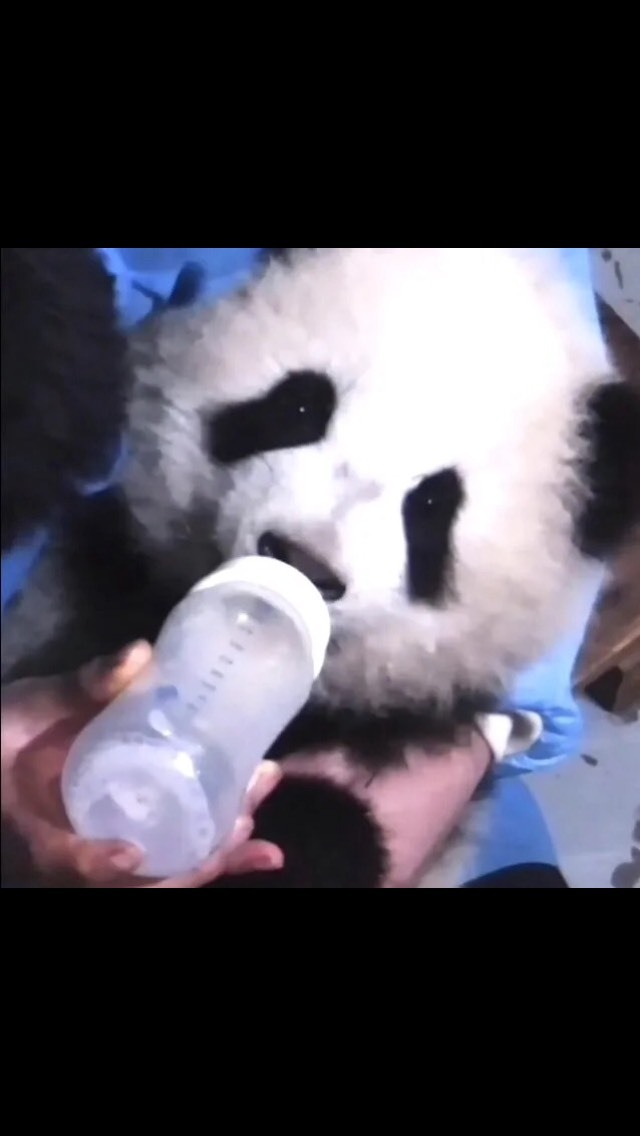 搜索（884675）的主播照片