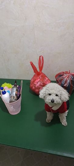 婷妹外卖小姐姐主播照片