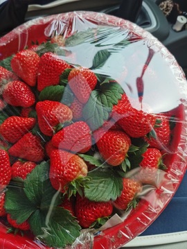 唯爱🌺小艾主播照片