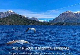 小雅代理ღ好运来主播照片