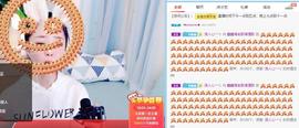 鑫鑫暂停准备搬家主播照片