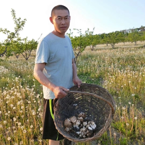 惜缘来了的主播照片