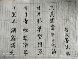 阿飒(sa)主播照片
