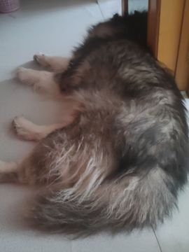 活宝黑妮主播照片