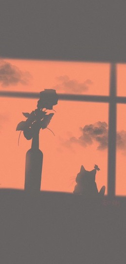 凡音🧡歌手加油主播照片
