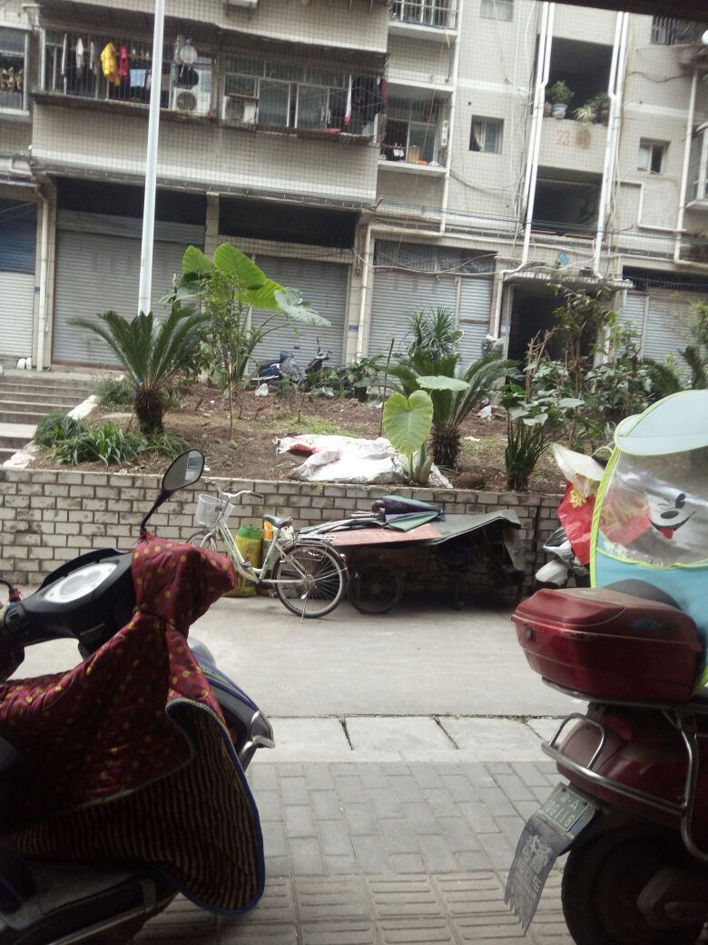 MobG34007的主播照片