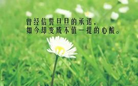 sunny💭爱你✿主播照片