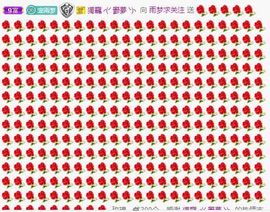 找我来792452主播照片