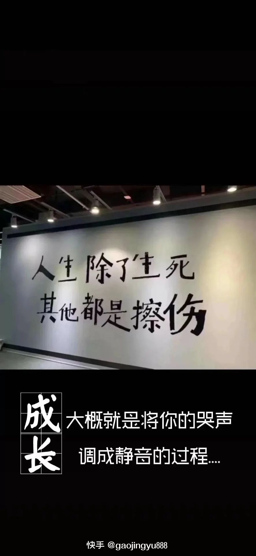 黎明中的錵哚的主播照片