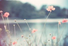 爱笑🌺用心唱歌主播照片