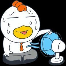 王丽13主播照片