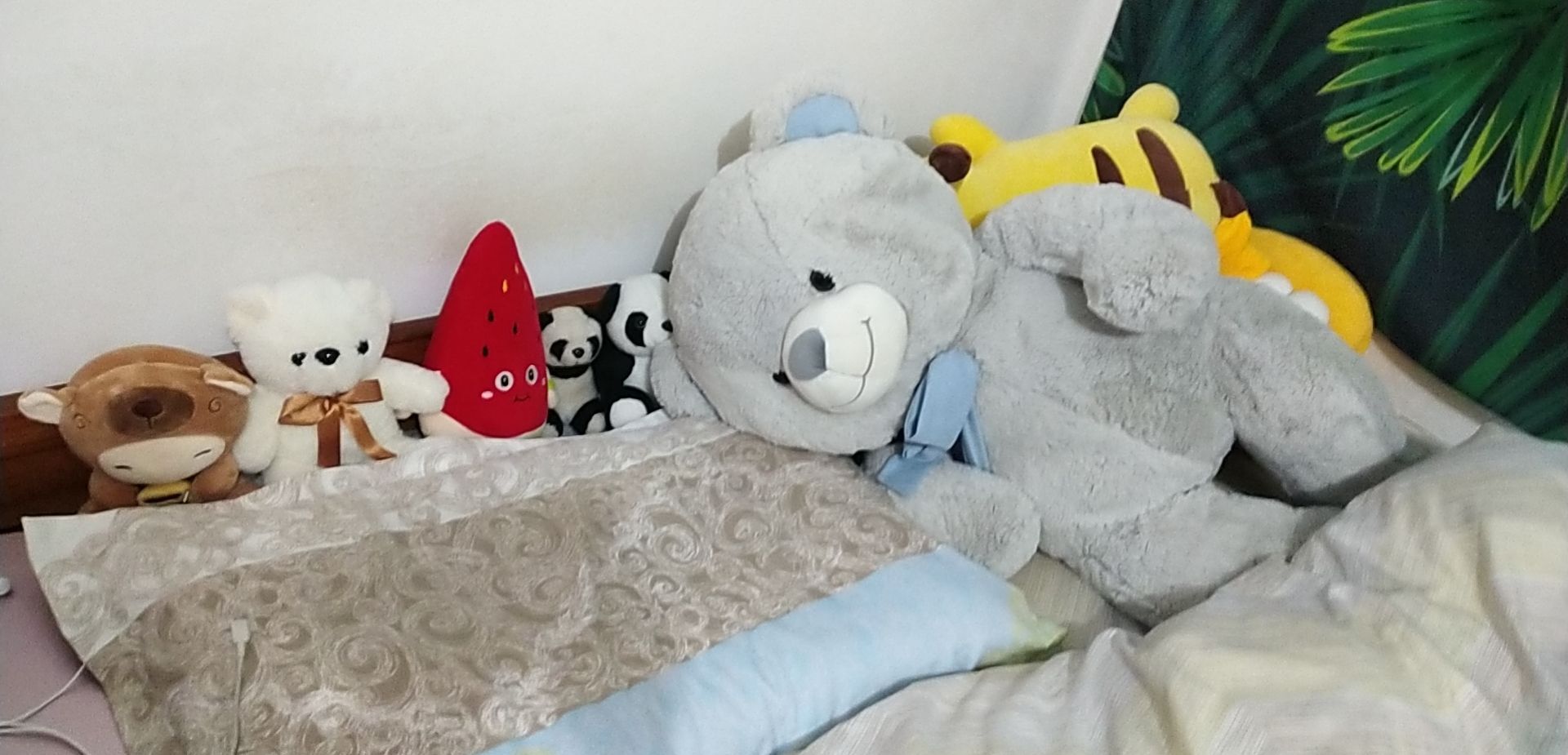 ?玻璃藍??的主播照片