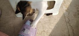 赵赵么么哒~~主播照片