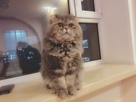 木子！小安主播照片
