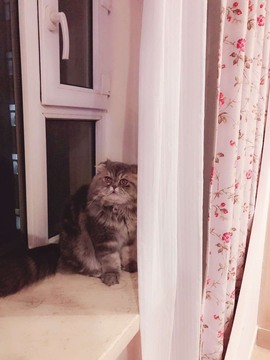 木子！小安主播照片
