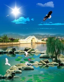桐桐加油主播照片
