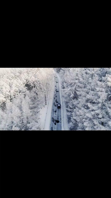 年年落雪❄️雪落年年