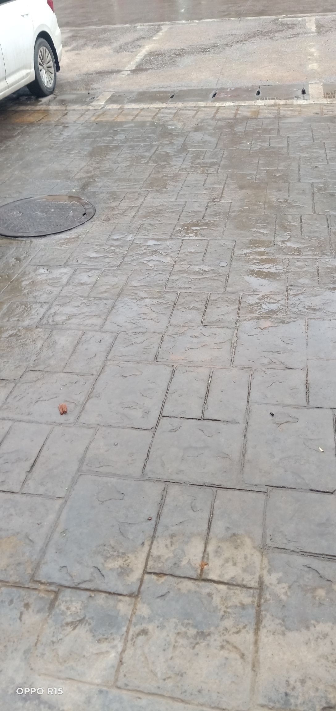 胆量小的华主播照片