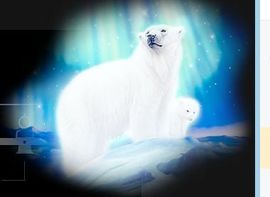 笑笑暂退主播照片