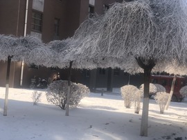 小雅代理ღ好运来主播照片