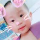 各种所学各种戒的头像