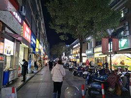 大军带你游玩上海主播照片