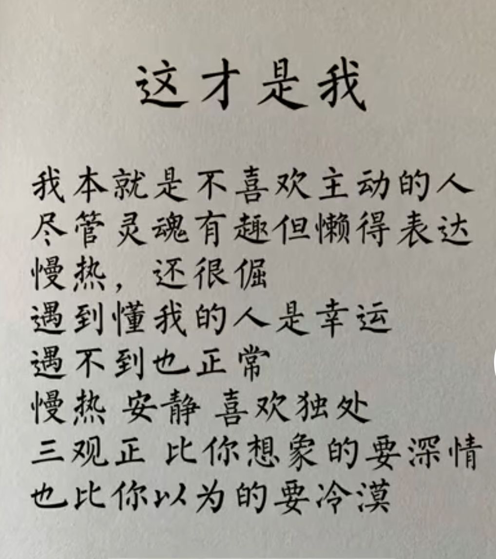 老酒馆里慵懒の猫的图片