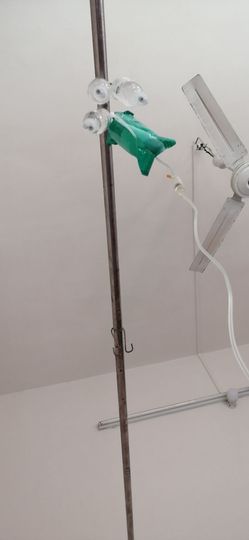 九公主99主播照片