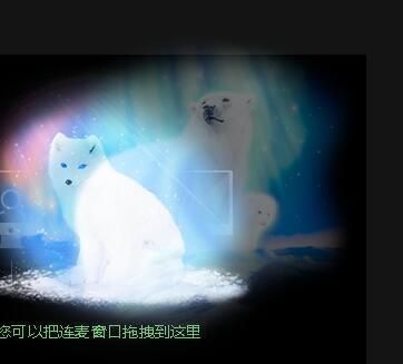 丑小鸭💞愿有一束光的图片
