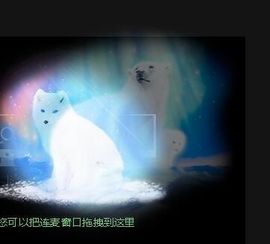 鸭鸭宝我耐你哈哈哈的图片