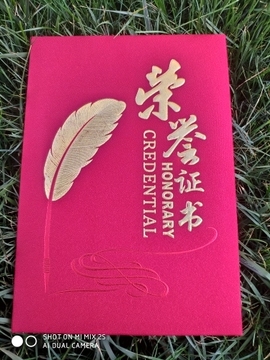 凤💖舞💖九💖天主播照片