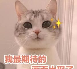 陈一🐰主播照片