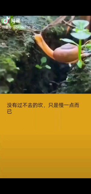 不管做什么事，只求问