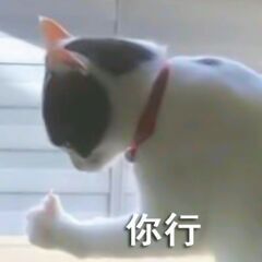 官方八卦君主播照片