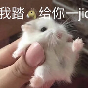 🌚柚子吖