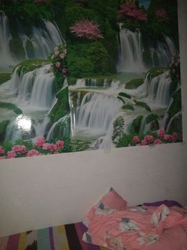 梦落梧桐主播照片