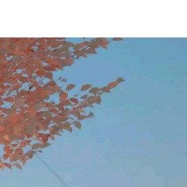小狸吖～主播照片