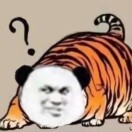小段rs