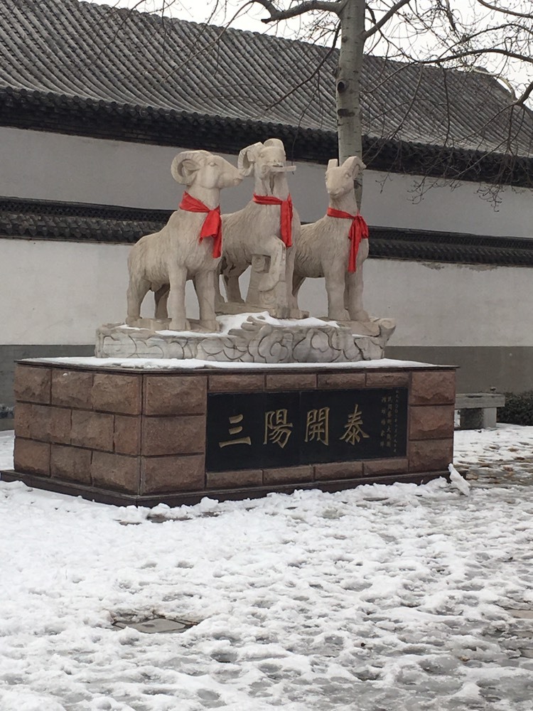 社会💞夭夭（退）的图片