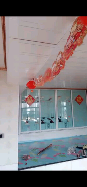 轩哥祝大家新年快乐牛